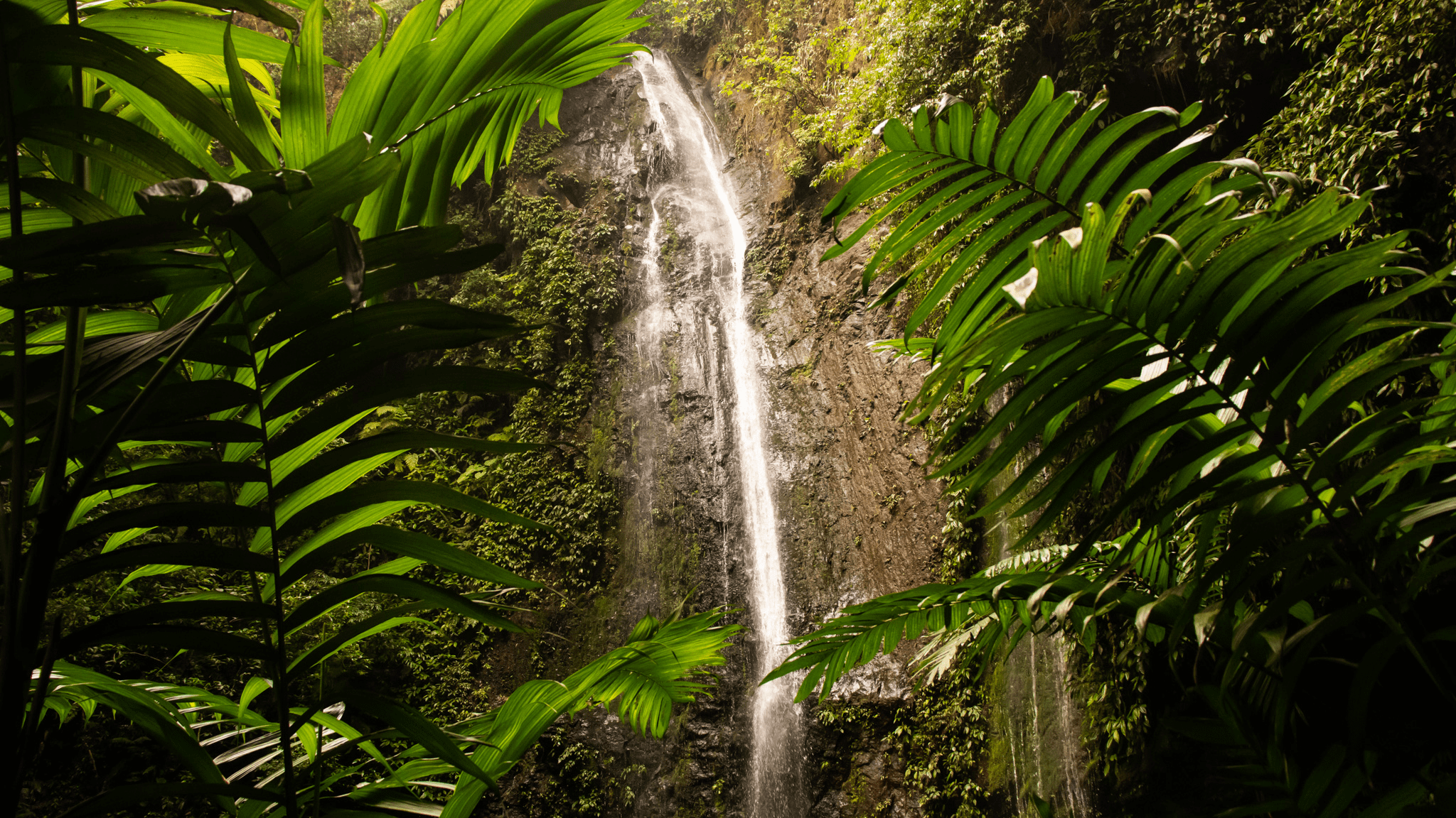 Water cascades down the mountainside, framed by lush greenery