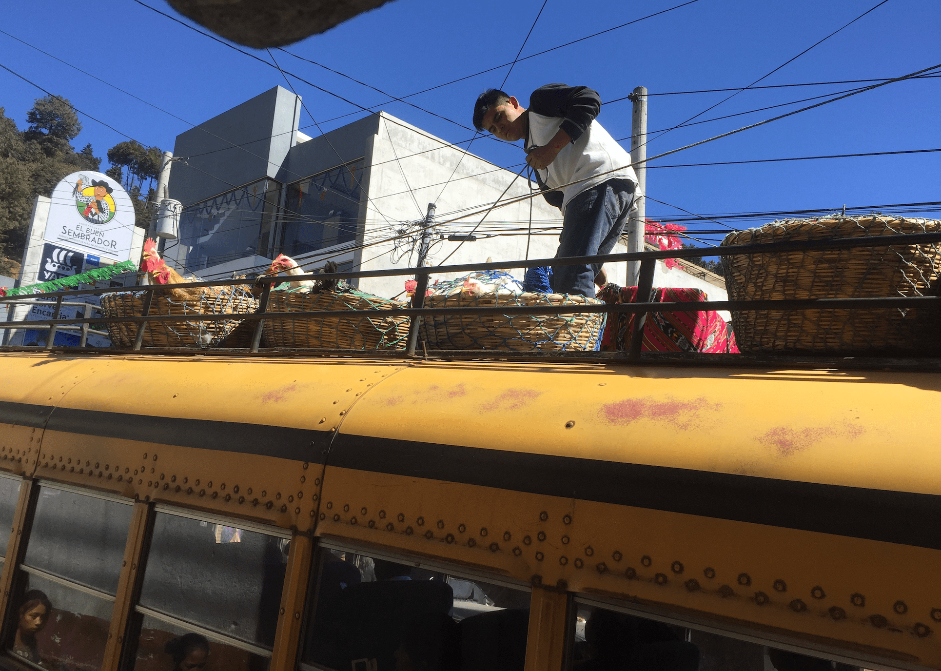 Luggage and chickens alike share the roof rack of the chicken bus.