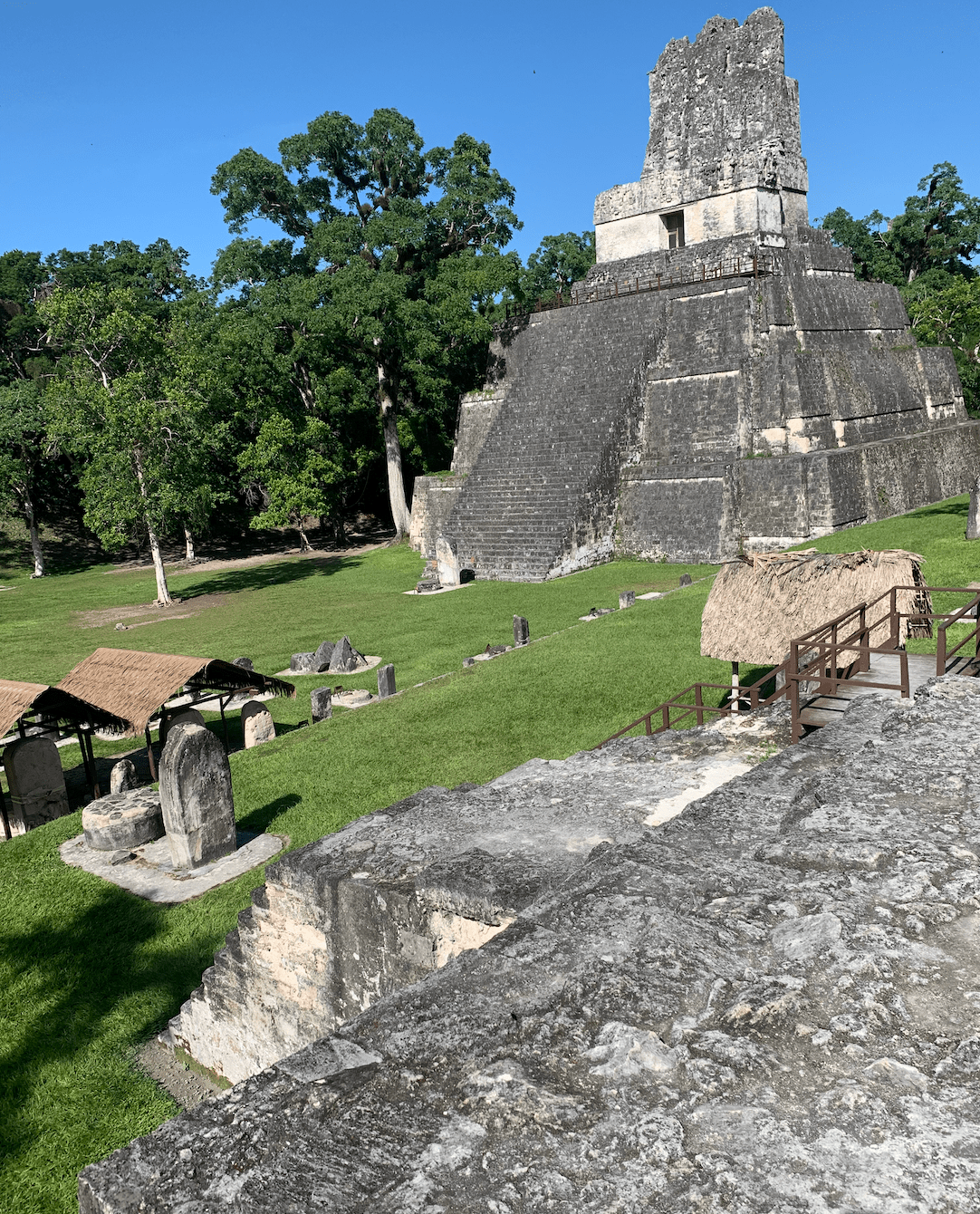 Pyramid and the main plaza at Tikal.