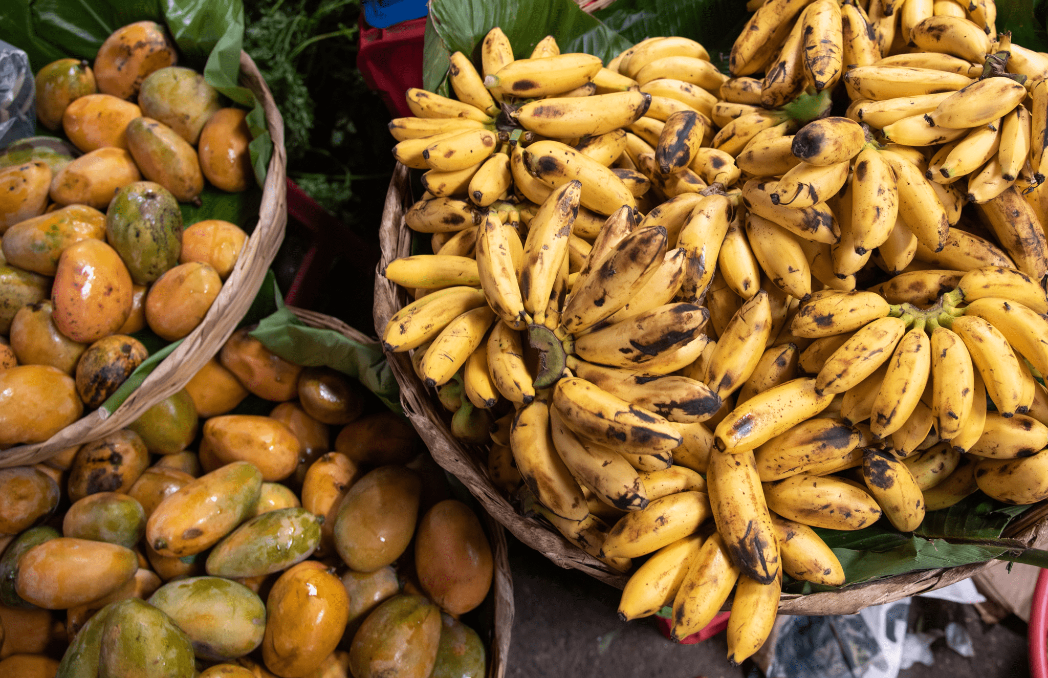 bananas at solola market guatemala